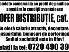 Sofer distributie, categoria B